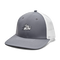 Grey / Air Mail Logo