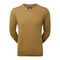 Vicuna